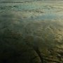 Sea shades at dawn, Northumberland coast