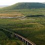 Ribblehead